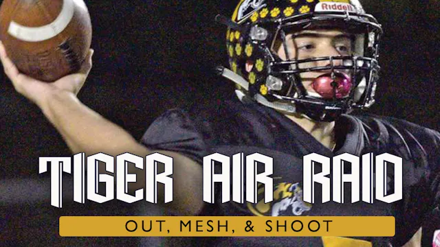 Tiger Air Raid: Out, Mesh, & Shoot