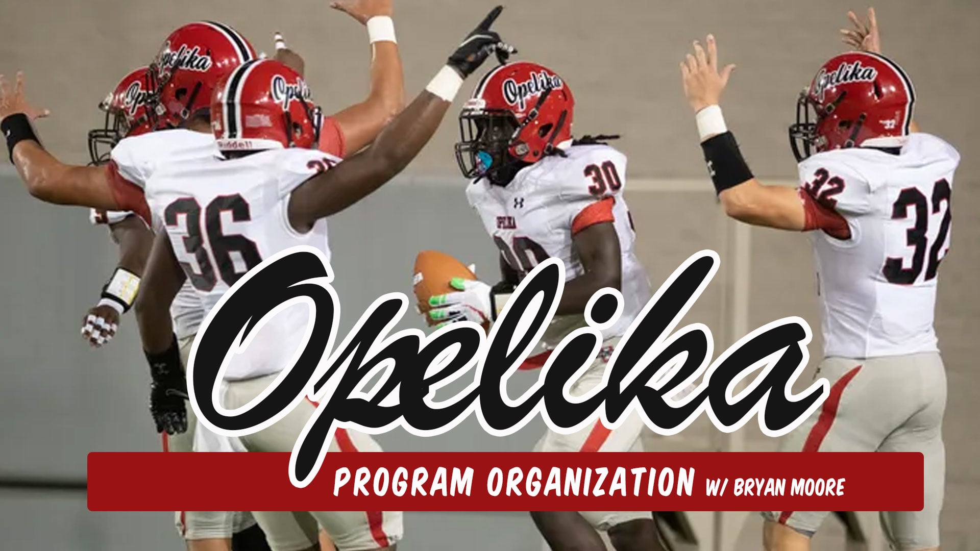 Opelika Program Organization