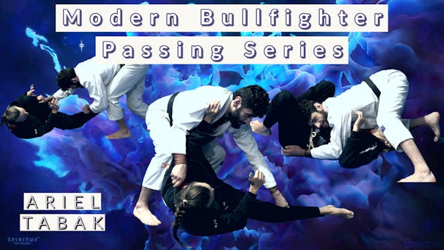 Modern Bull Fighter Series 