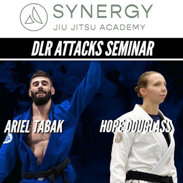 DLR + Single Leg X Seminar 