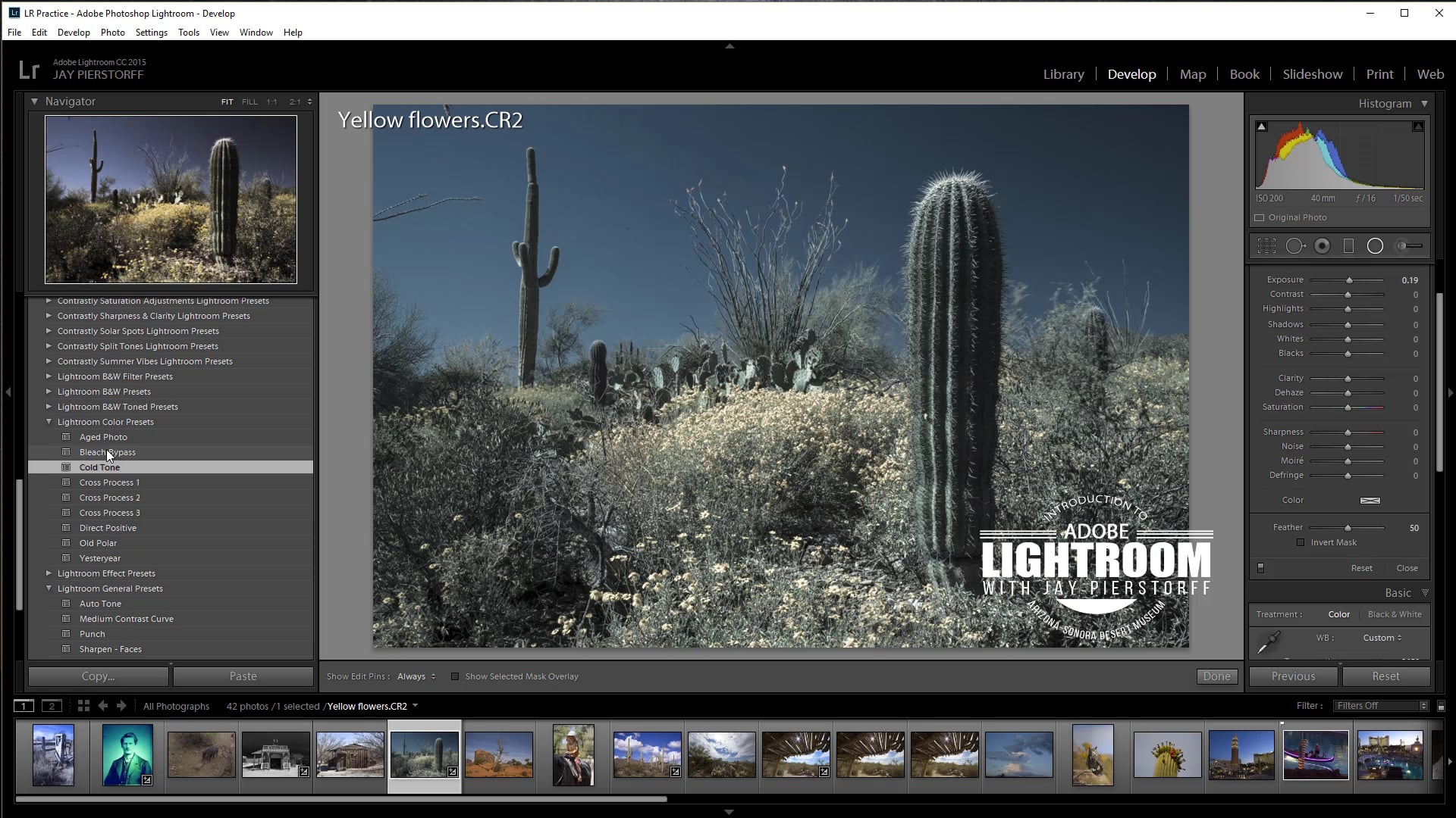 LR-16- Cross Process Effect and Create Presets