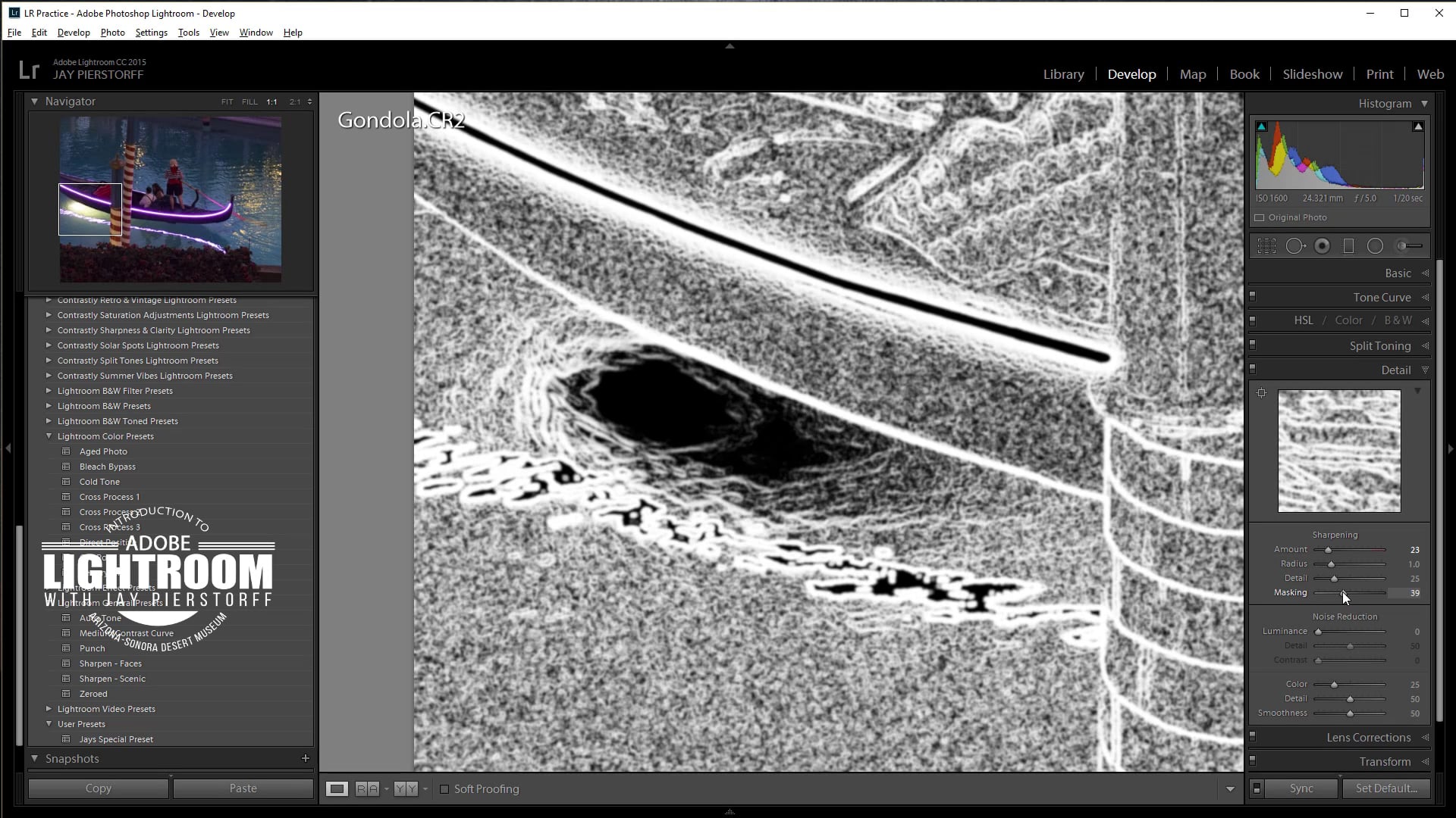 LR-17 - 18 - The Detail Panel