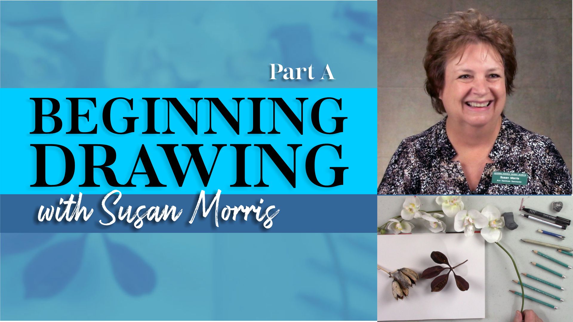 Basic Drawing with Susan Morris