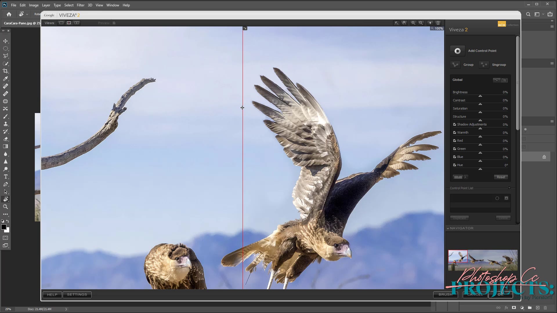 JP-PR-13 Nik Photoshop CC