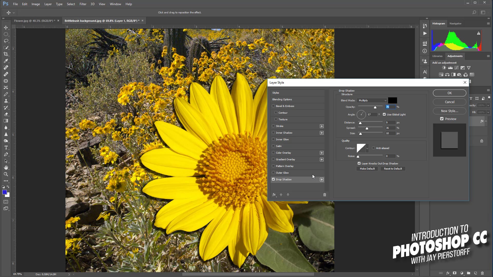 CC-15 - Quick Selection Tool CC