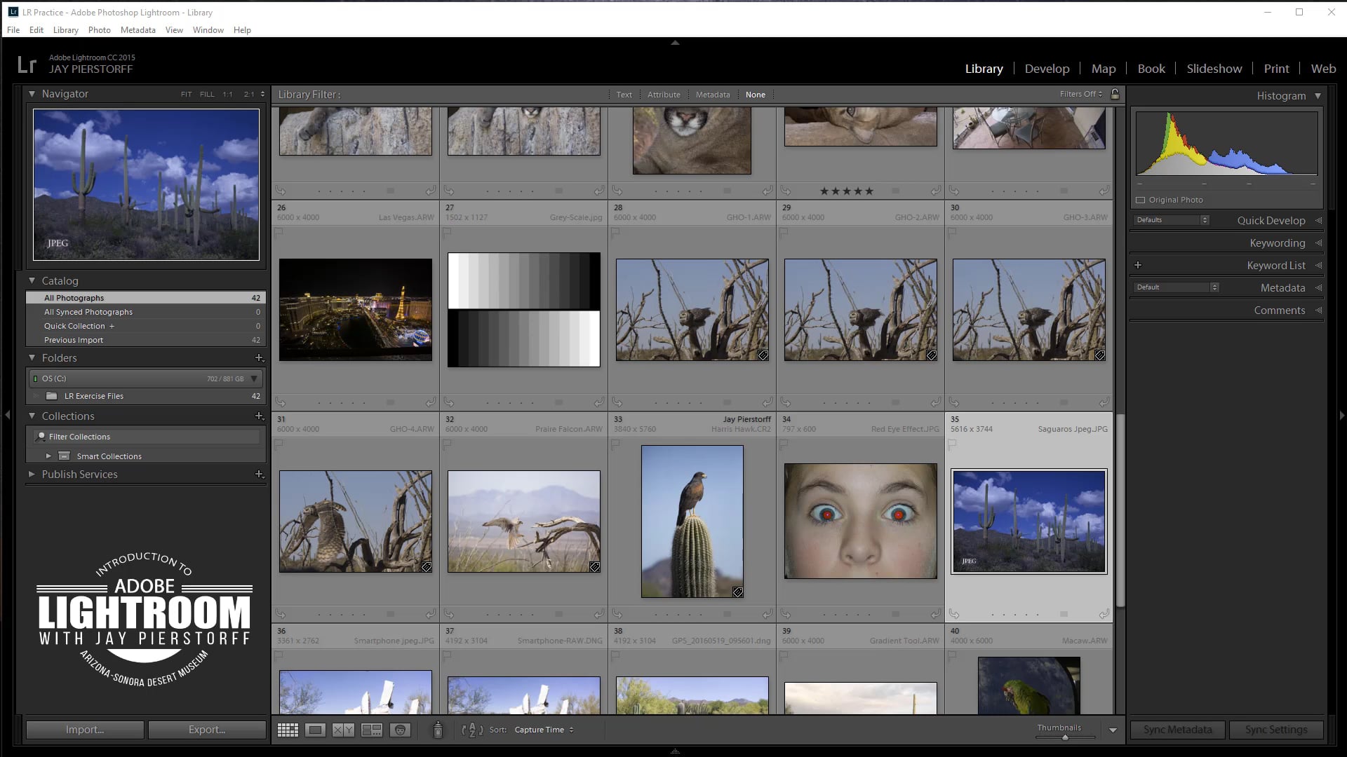 LR-13 -  Raw vs Jpeg