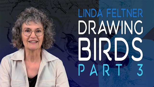 Part 3 - Drawing Birds with Linda Fel...