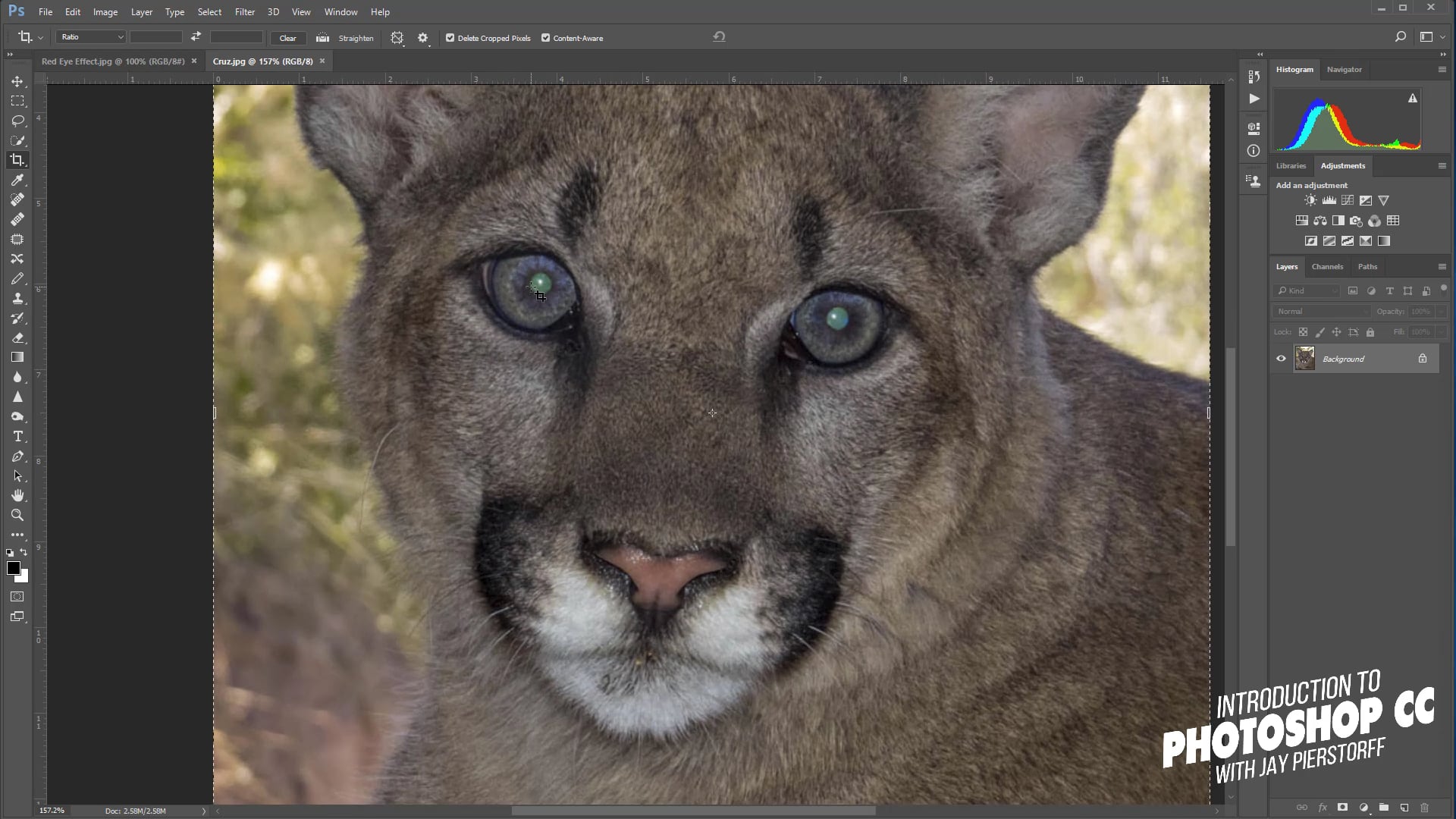 CC-6 - Red Eye Tool CC