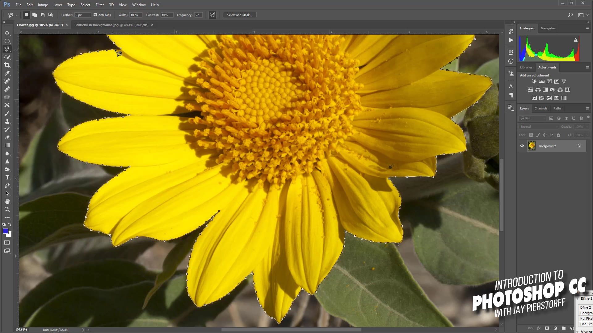 CC-12 - Magnetic Lasso Tool CC