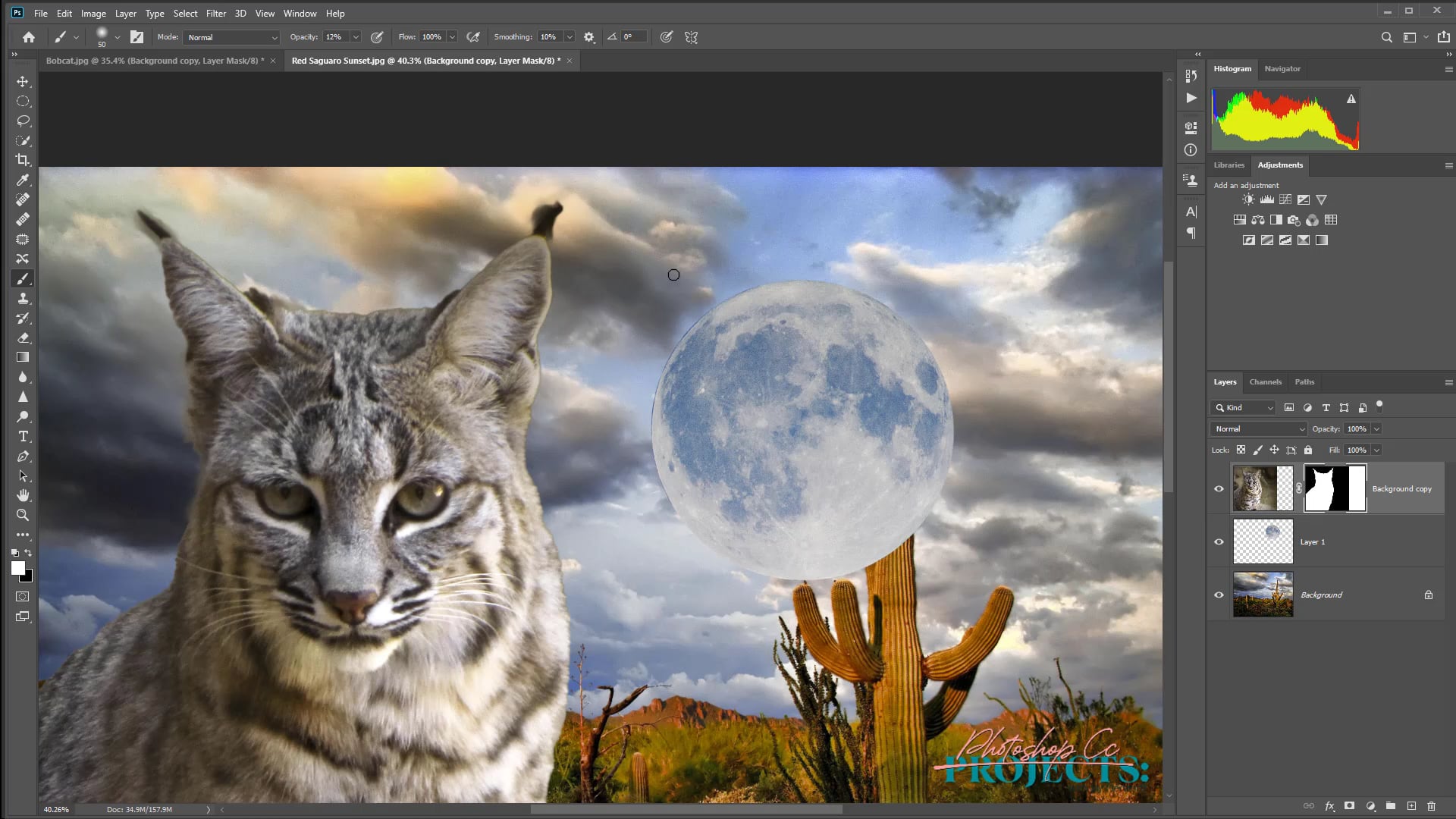 JP-PR- 7 Bobcat Composite CC