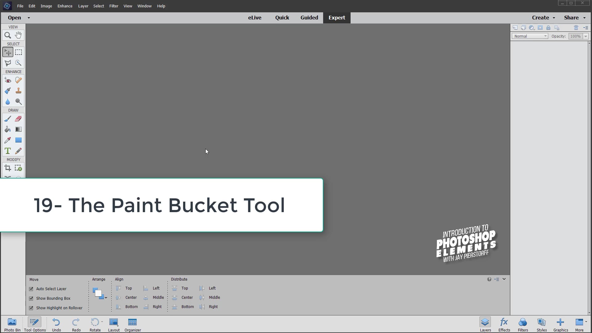 PSE-19 - The Paint Bucket Tool PSE