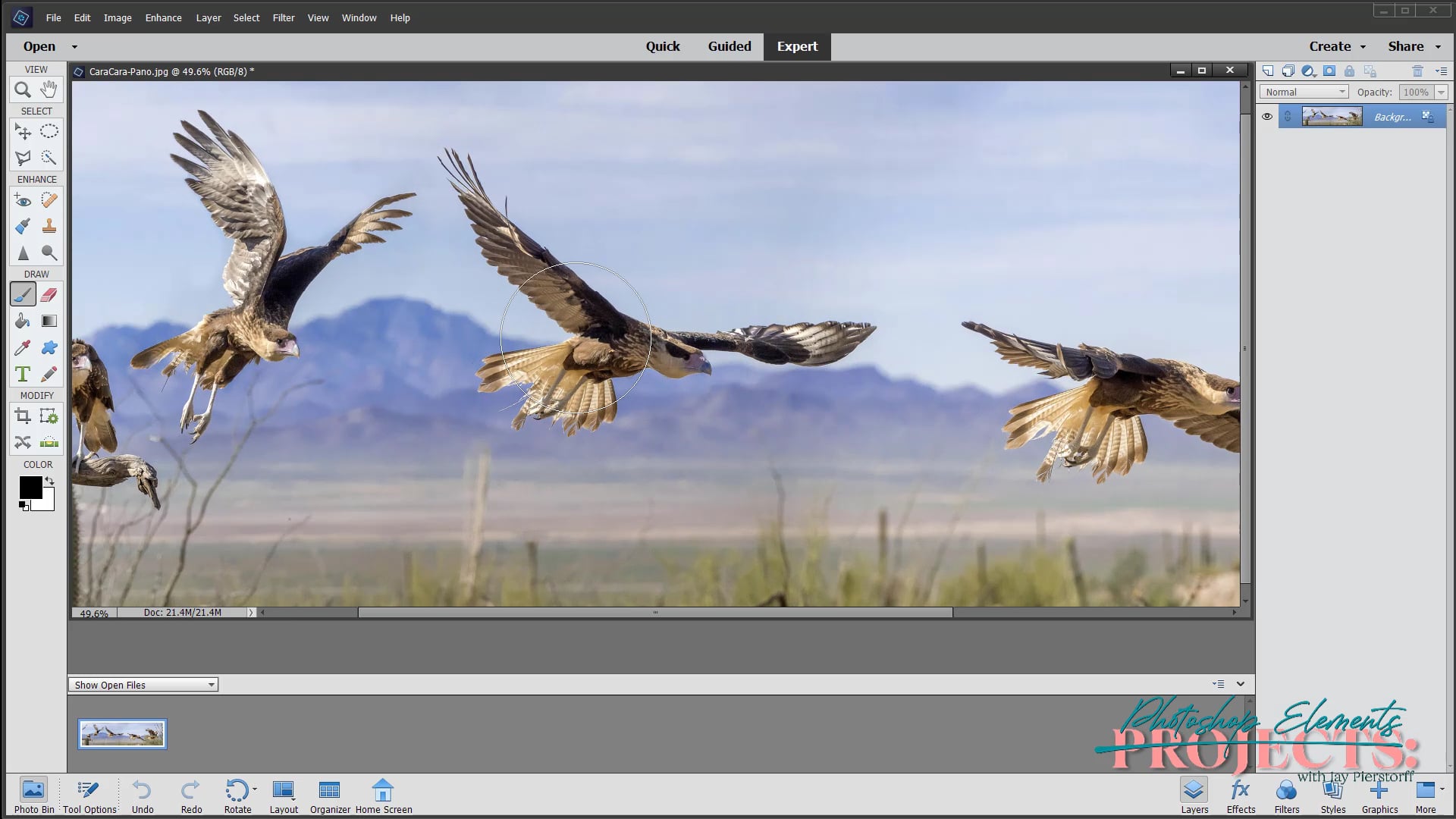 JP-PR-13 Nik Photoshop PSE