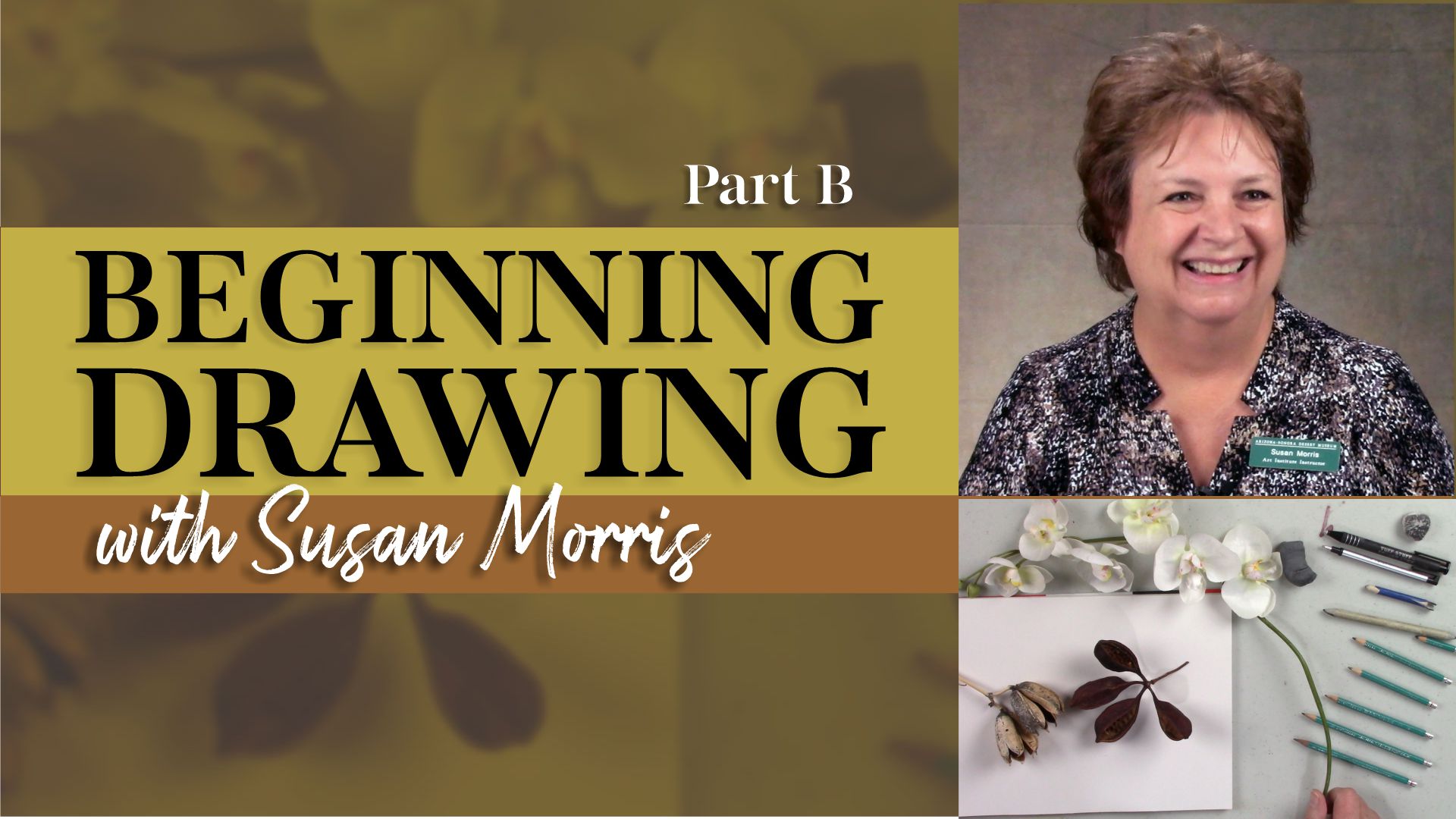Beginning Drawing with Susan Morris Part B
