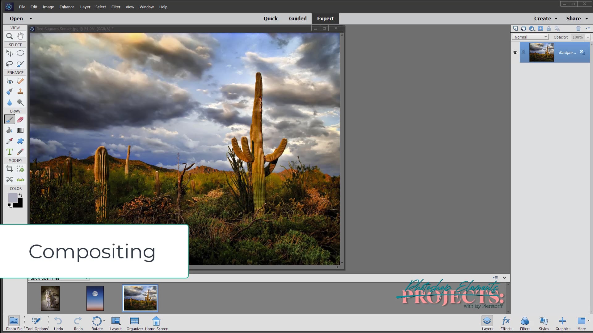 JP-PR- 7 Bobcat Composite PSE