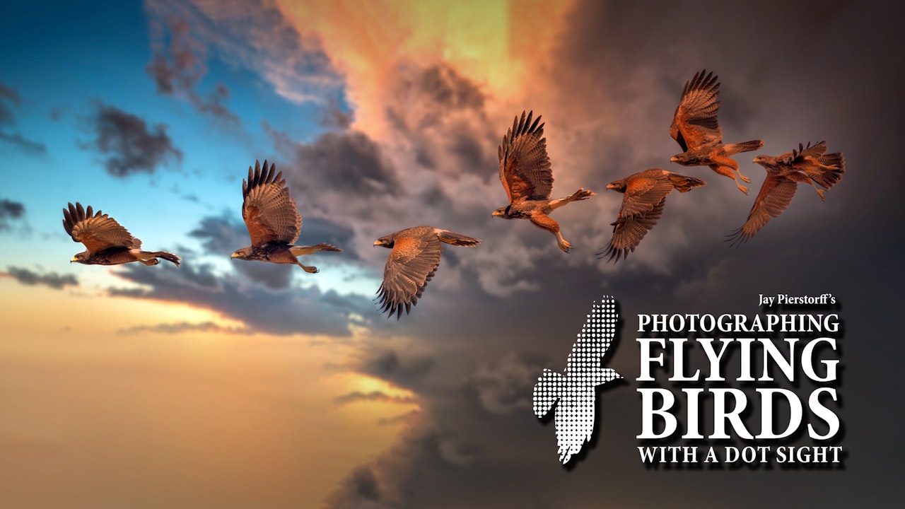 Photographing Flying Birds with a Dot Sight with Jay Pierstorff