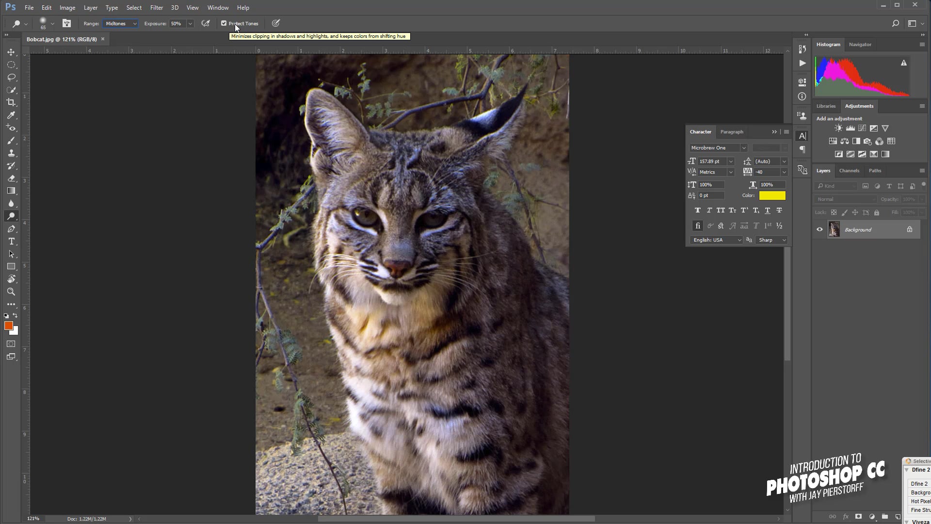 CC-22 - Dodge Burn Sponge Tools CC