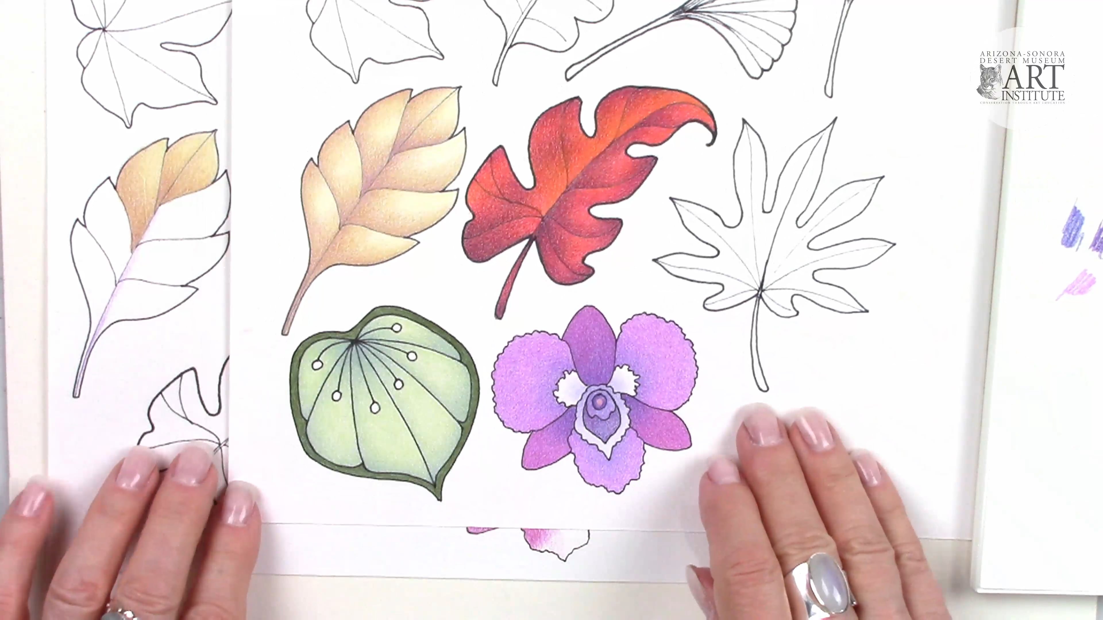 JG-Color Pencil and Ink Pt 5