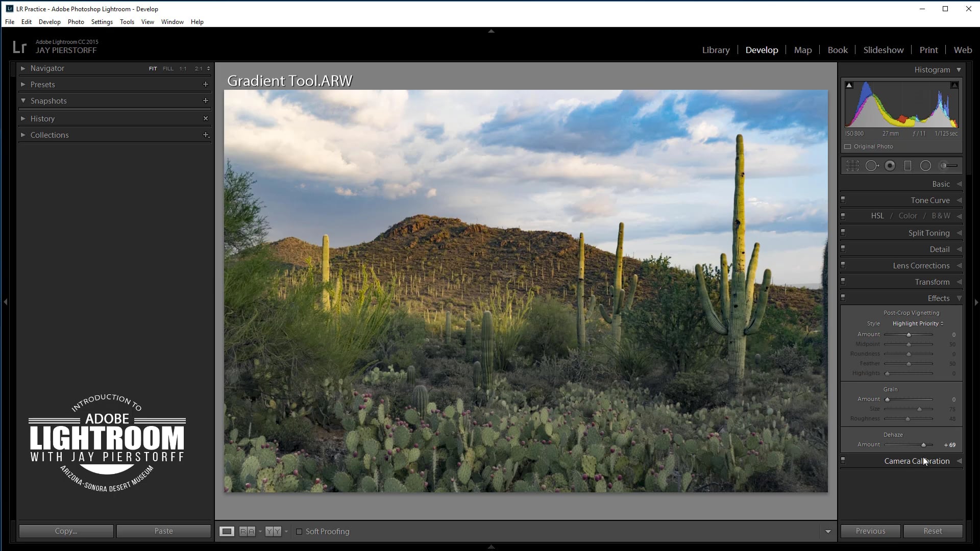 LR-21-The Effects Panel