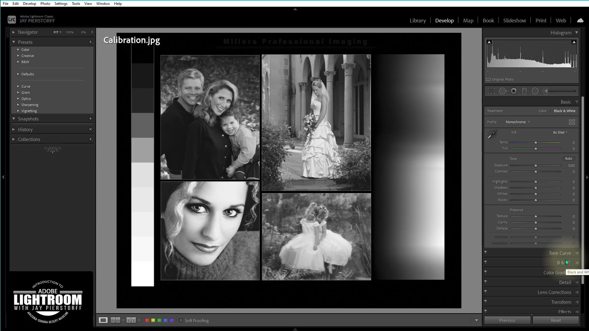 LR-12 - HSL COLOR Black and White