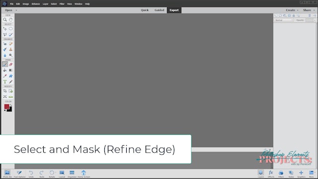 JP-PR-9 Select and Mask (Refine Edge) PSE