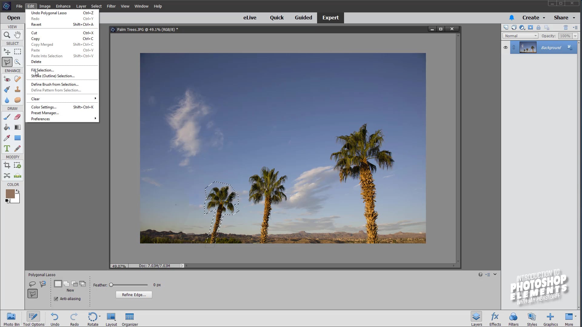 PSE-23 - Content Aware Fill Tool PSE