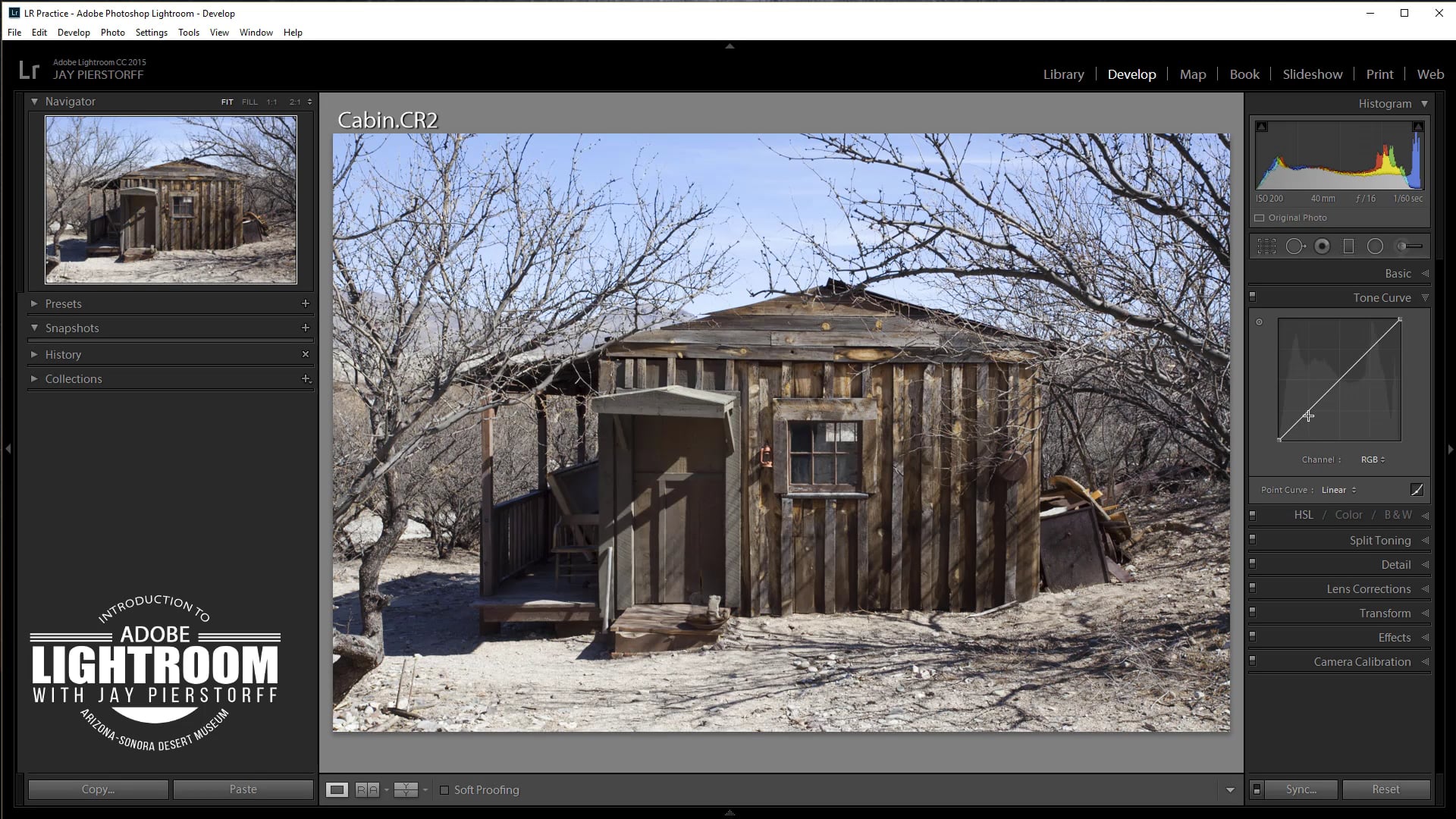 LR-11 - Tone Curve Panel