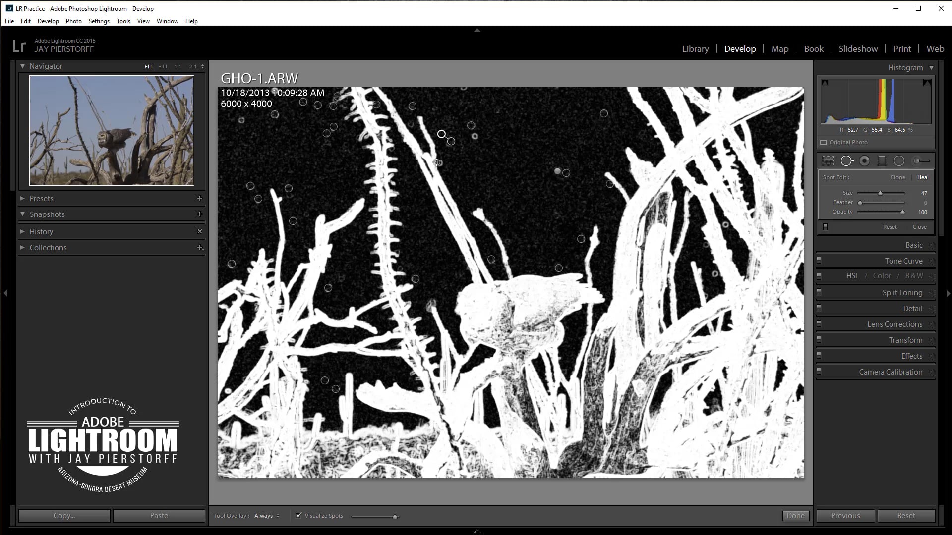 LR-5- Spot Removal Tool