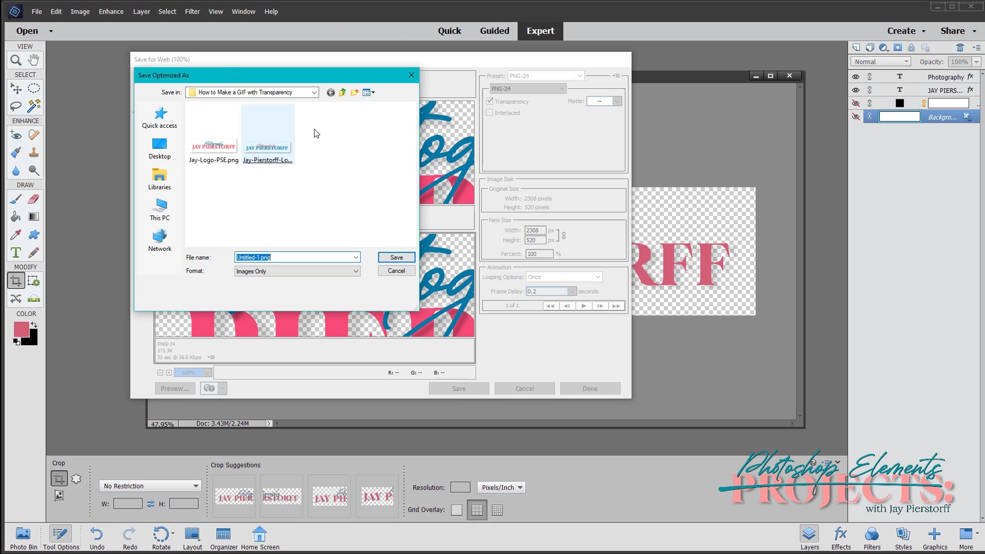 JP-PR-4 Logo with Transparent Background PSE
