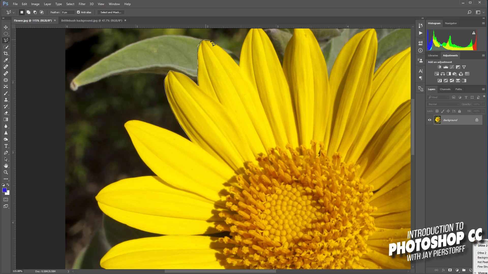 CC-13 - Polygonal Lasso Tool CC