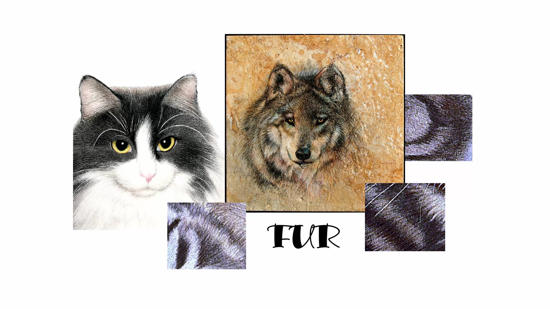 JG Fur and Feathers Part 1