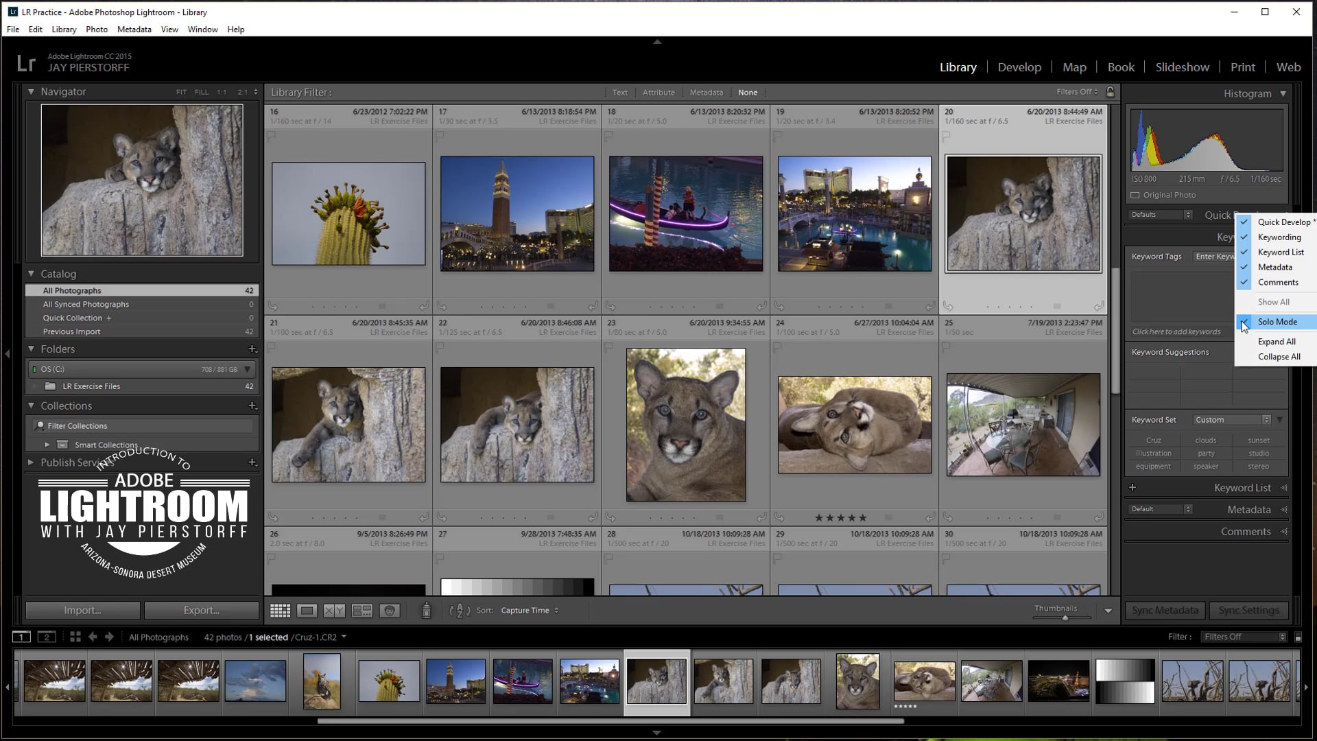 LR-2- The Grid and Loupe Tool