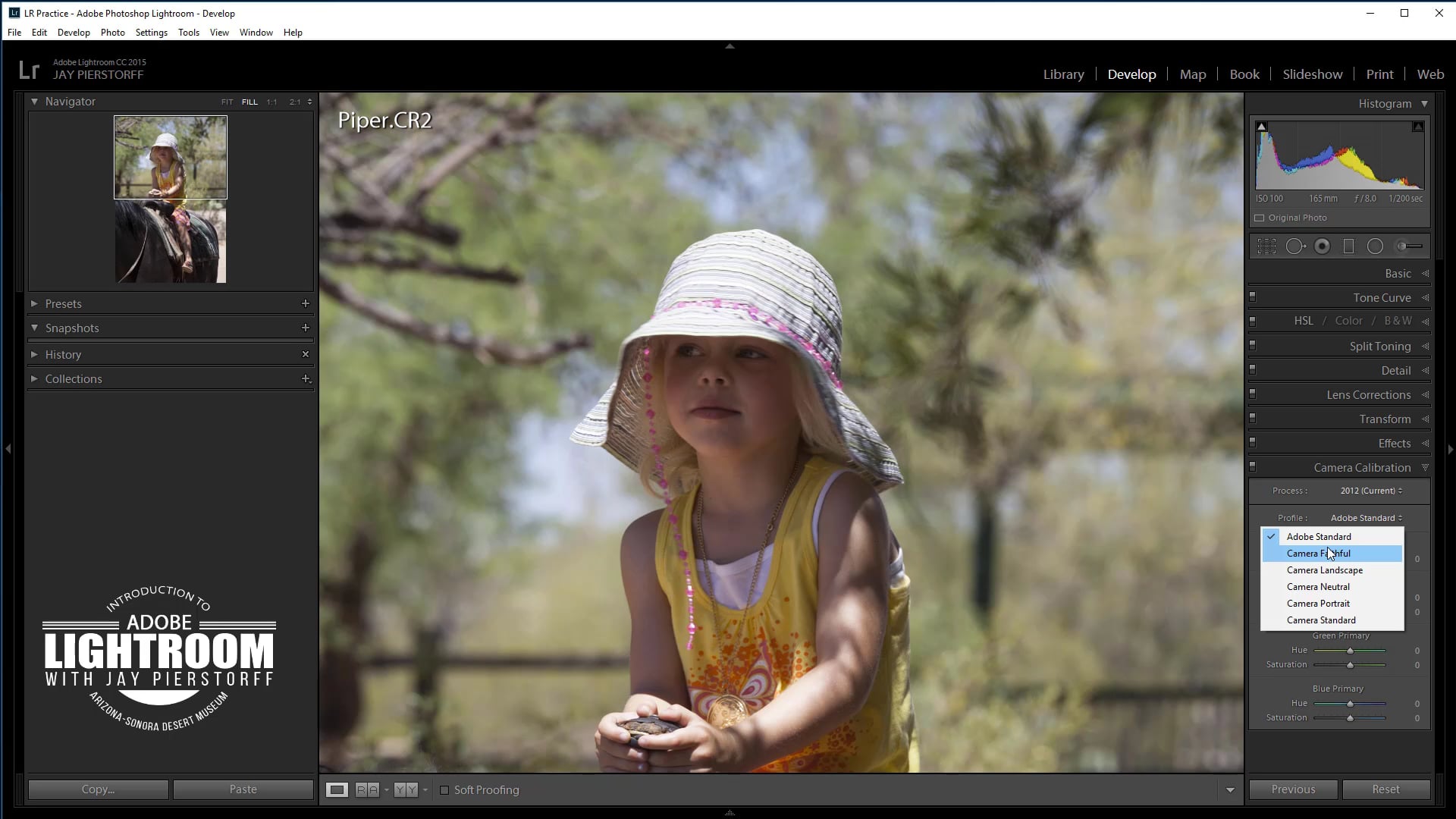 LR-22-The Camera Calibration Panel