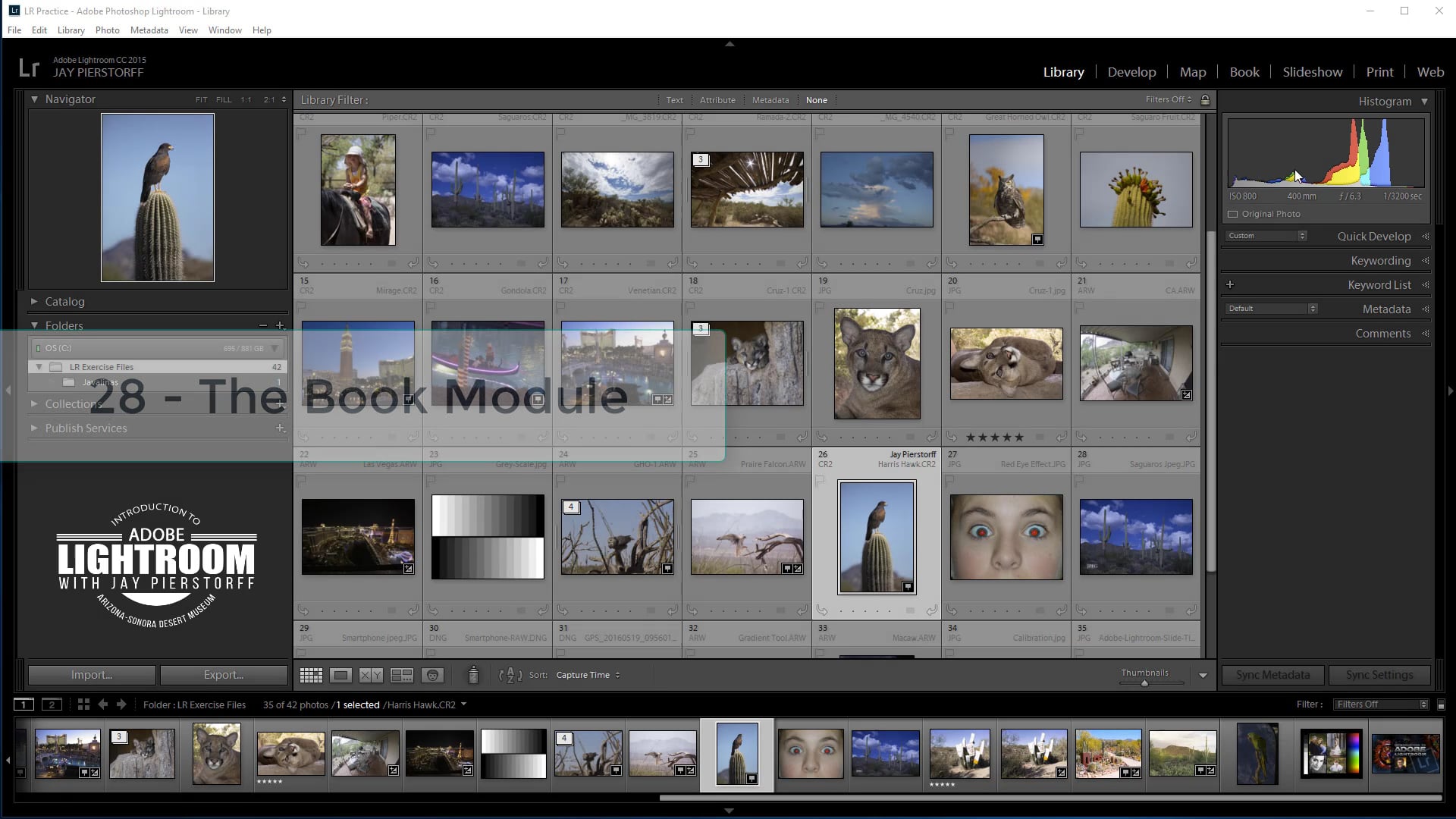 LR--28-The Book Module