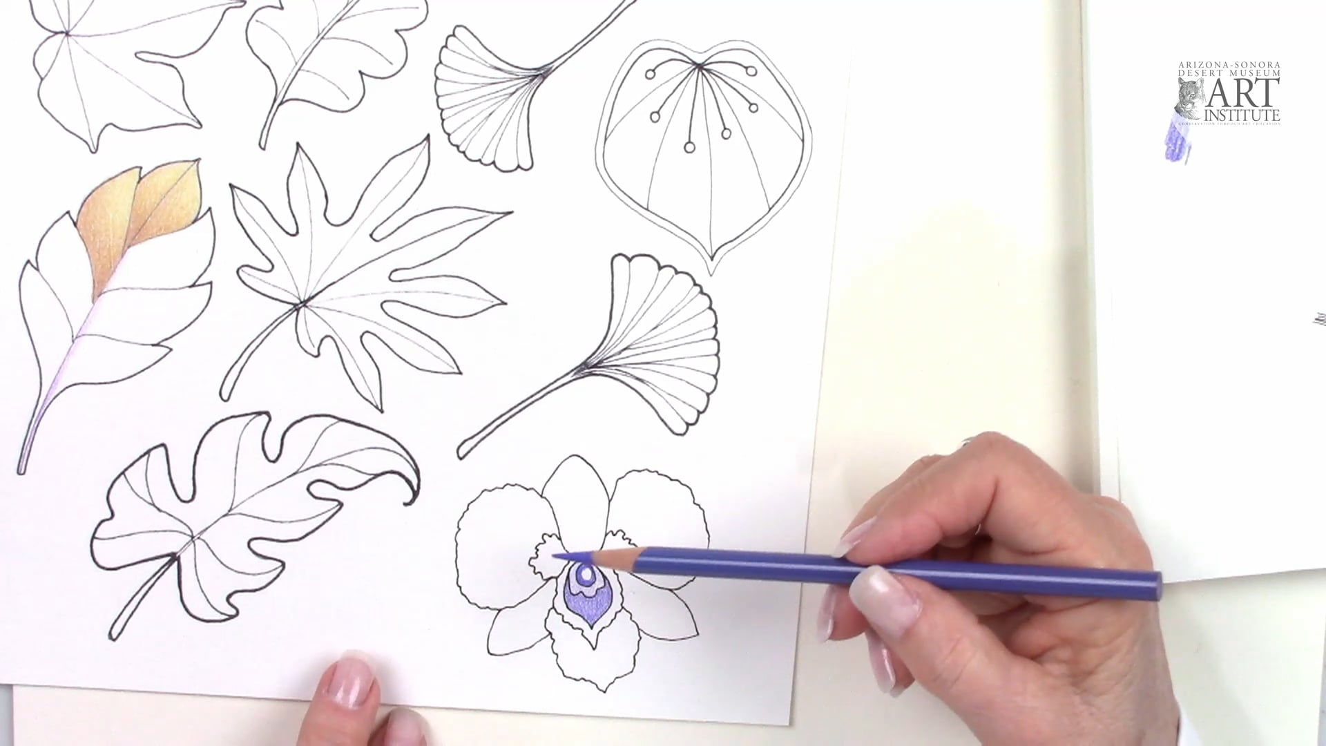 JG-Color Pencil and Ink Pt 4