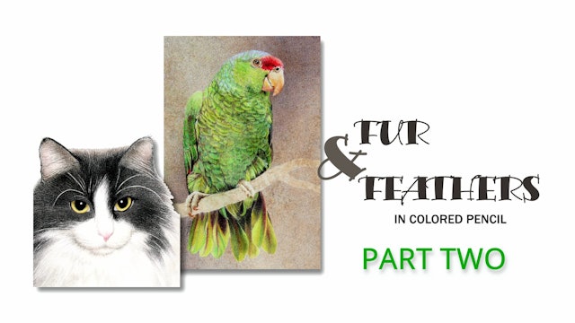JG Fur and Feathers Part 2