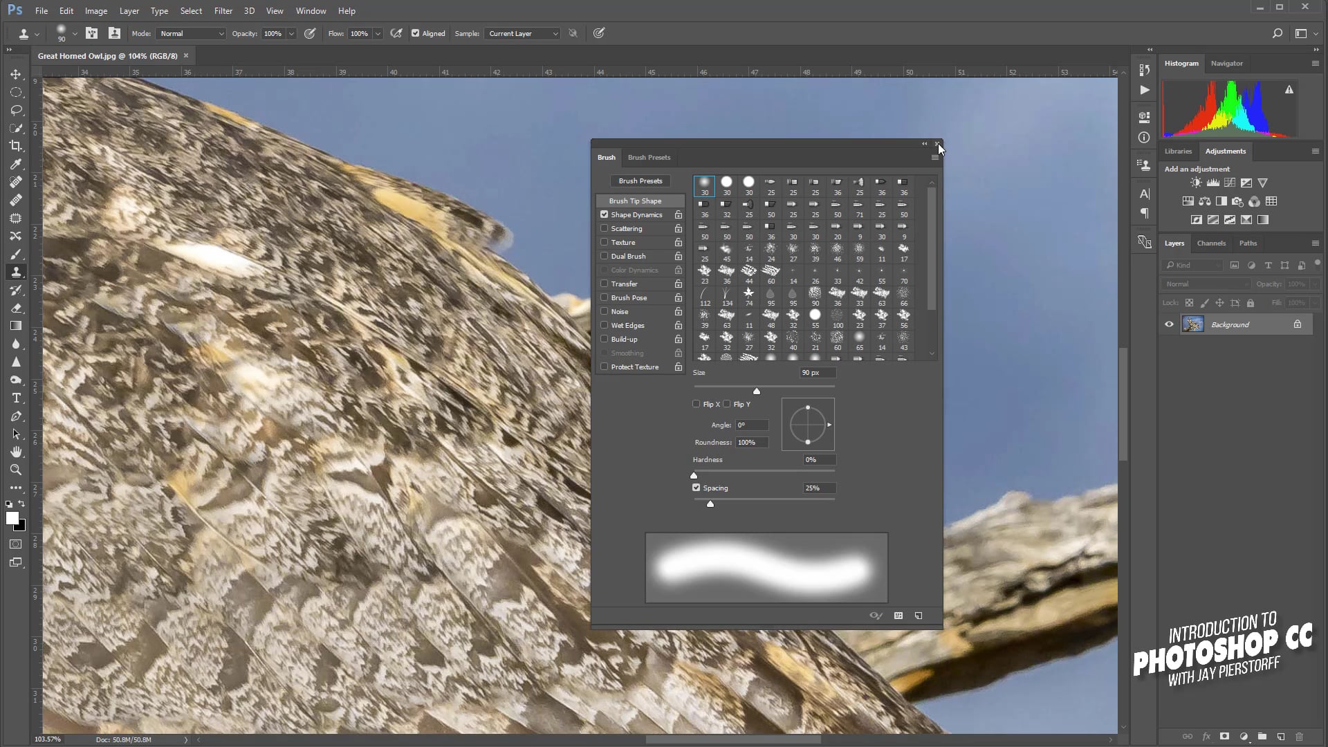 CC-18 - The Clone Stamp Tool CC