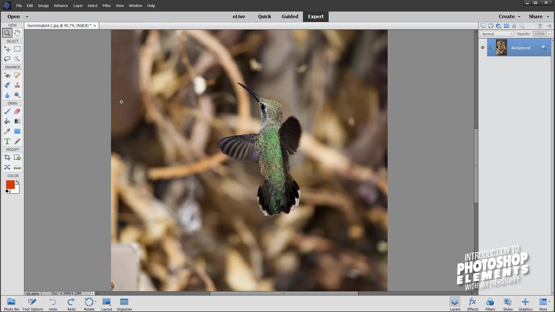 PSE-5 - The Crop Tool PSE