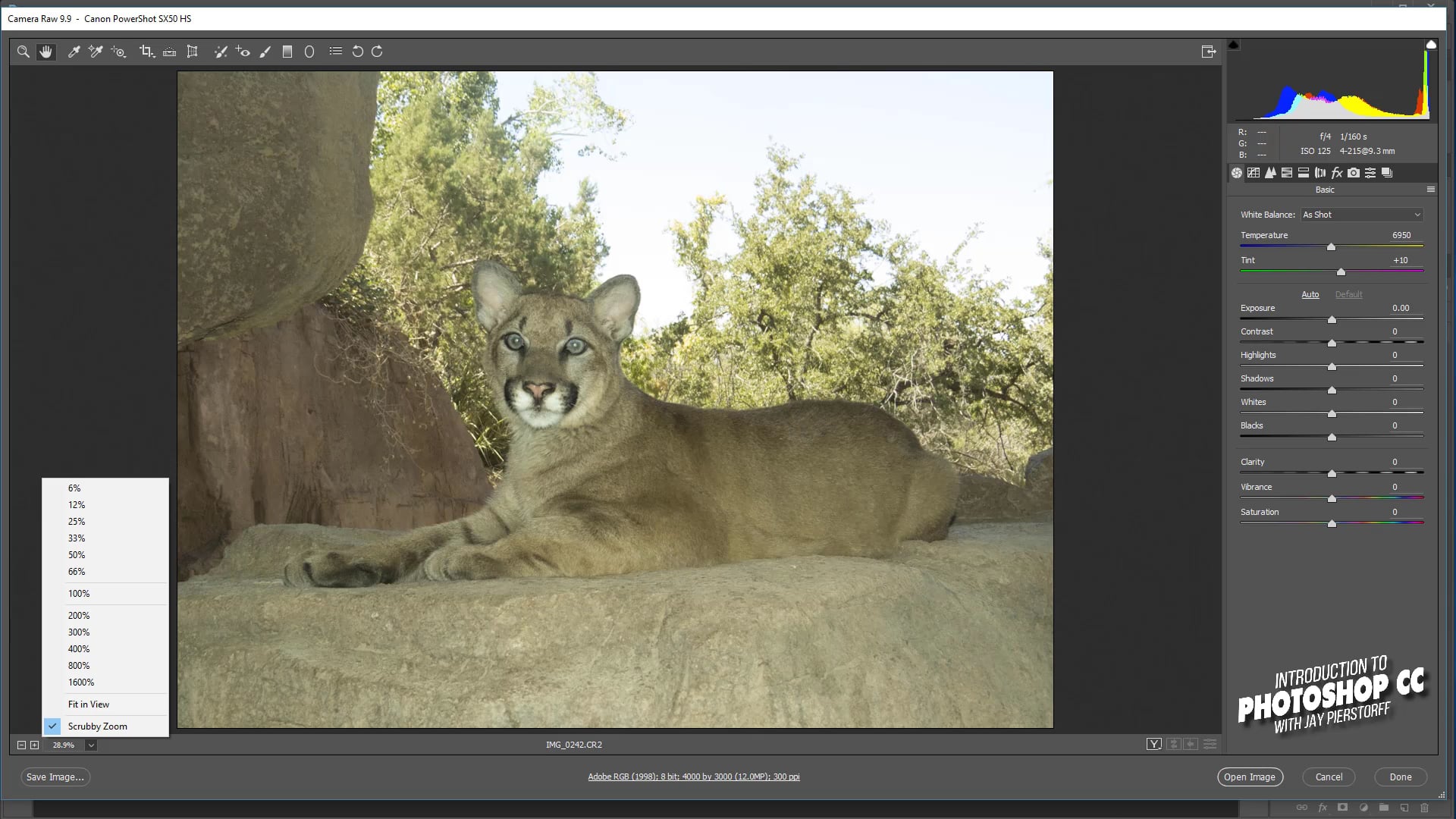 CC-25 - Camera Raw CC