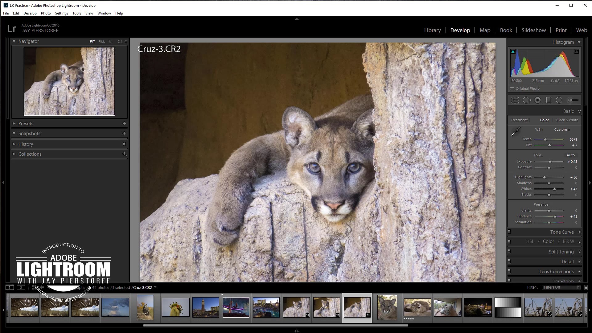 LR-14 - Batch Process