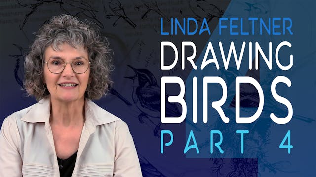 Part 4 - Drawing Birds with Linda Fel...