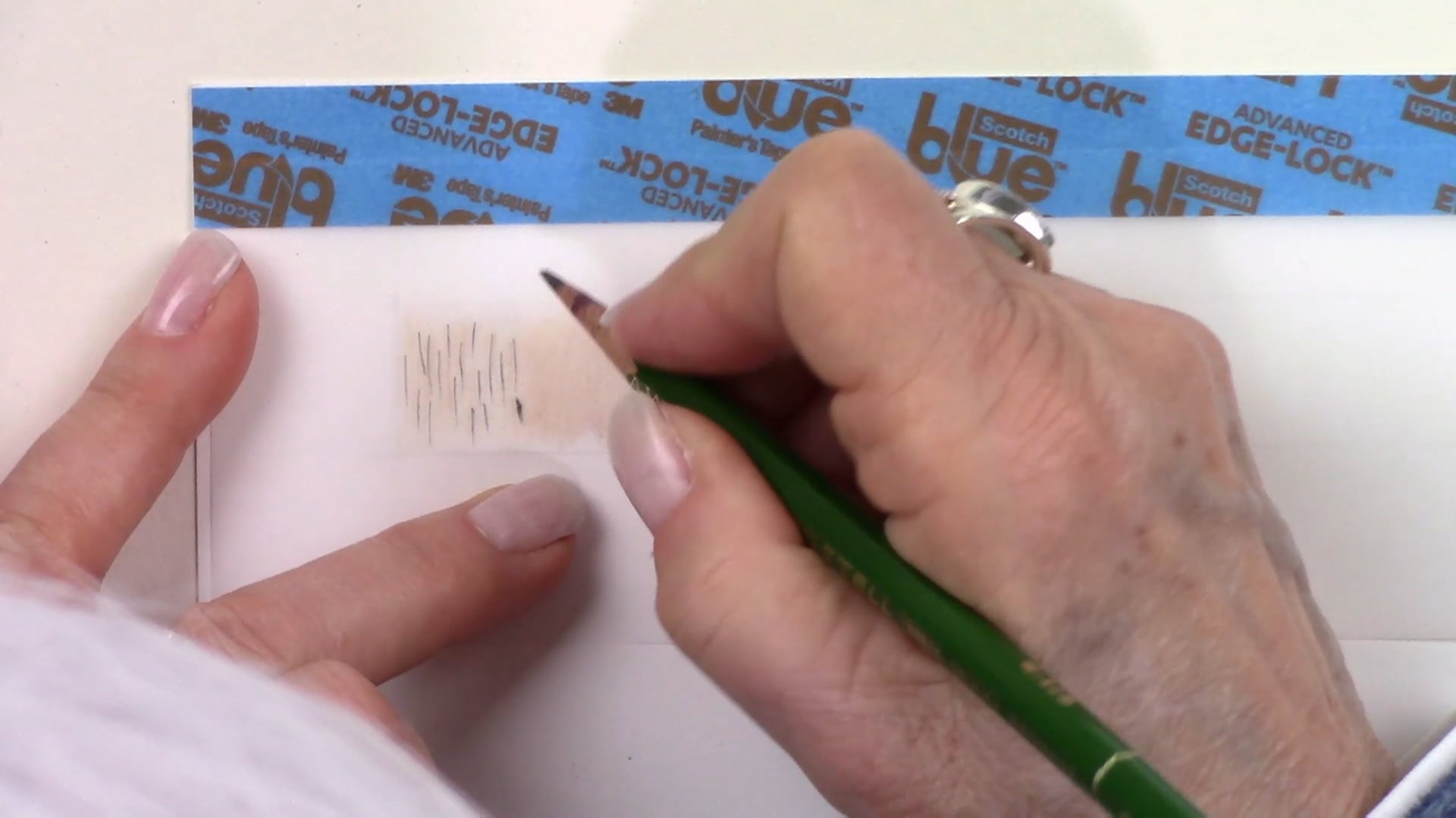 JG Fur and Feathers Part 3