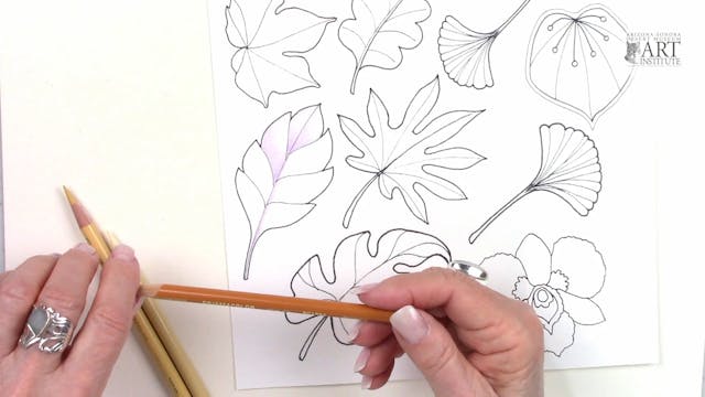 JG-Color Pencil and Ink Pt 3