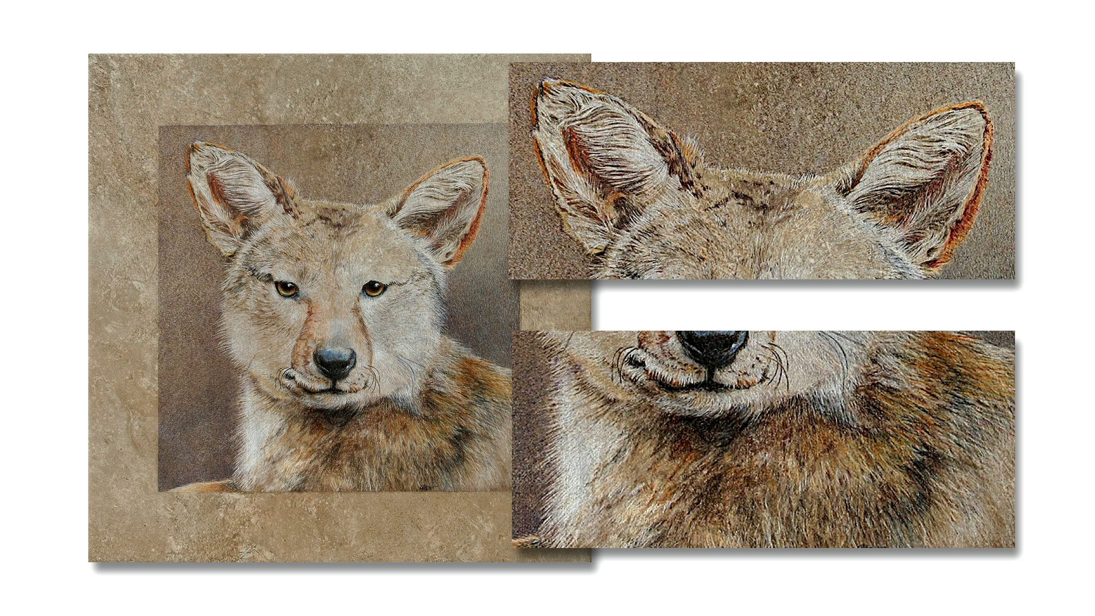 JG Fur and Feathers Part 4