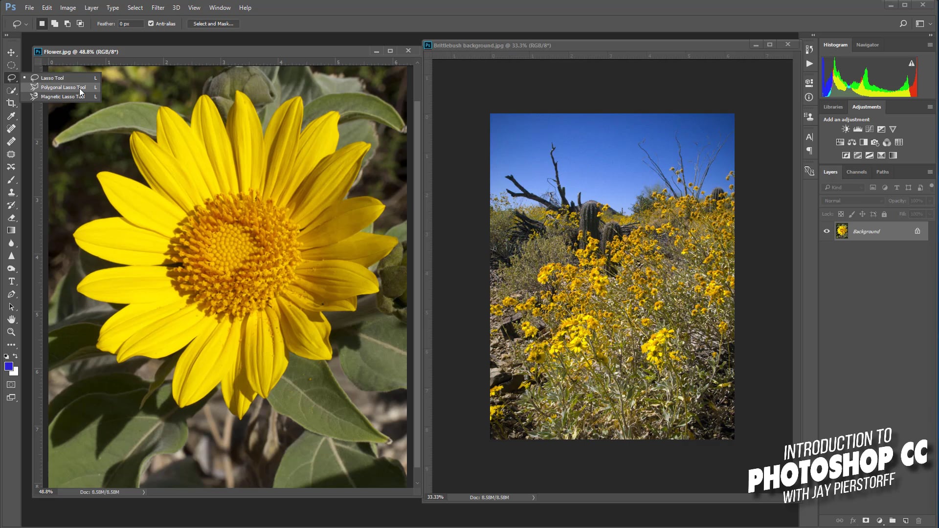 CC-11 - Lasso Tool CC
