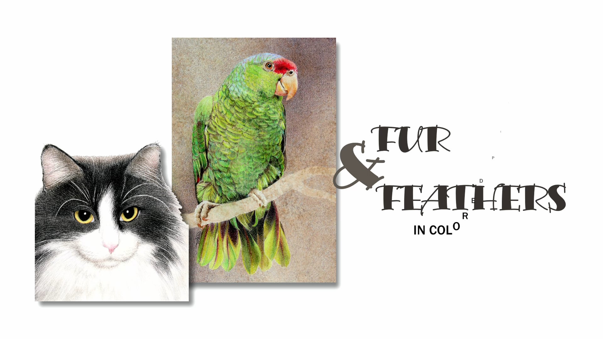 JG Fur and Feathers Part 6