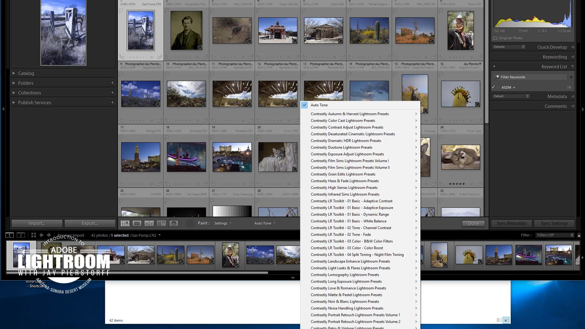 LR-25 - The Painter Tool