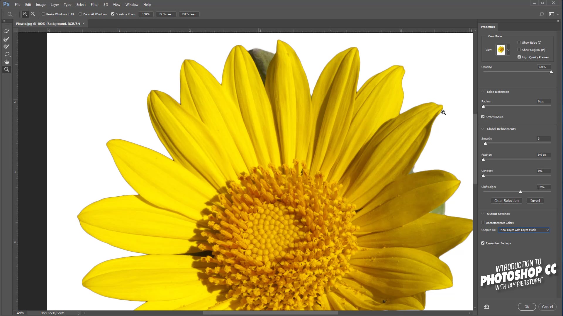 CC-16 - Refine Edge CC