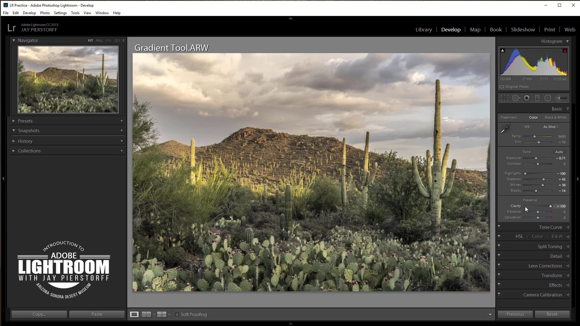 LR-10B - Presence Panel