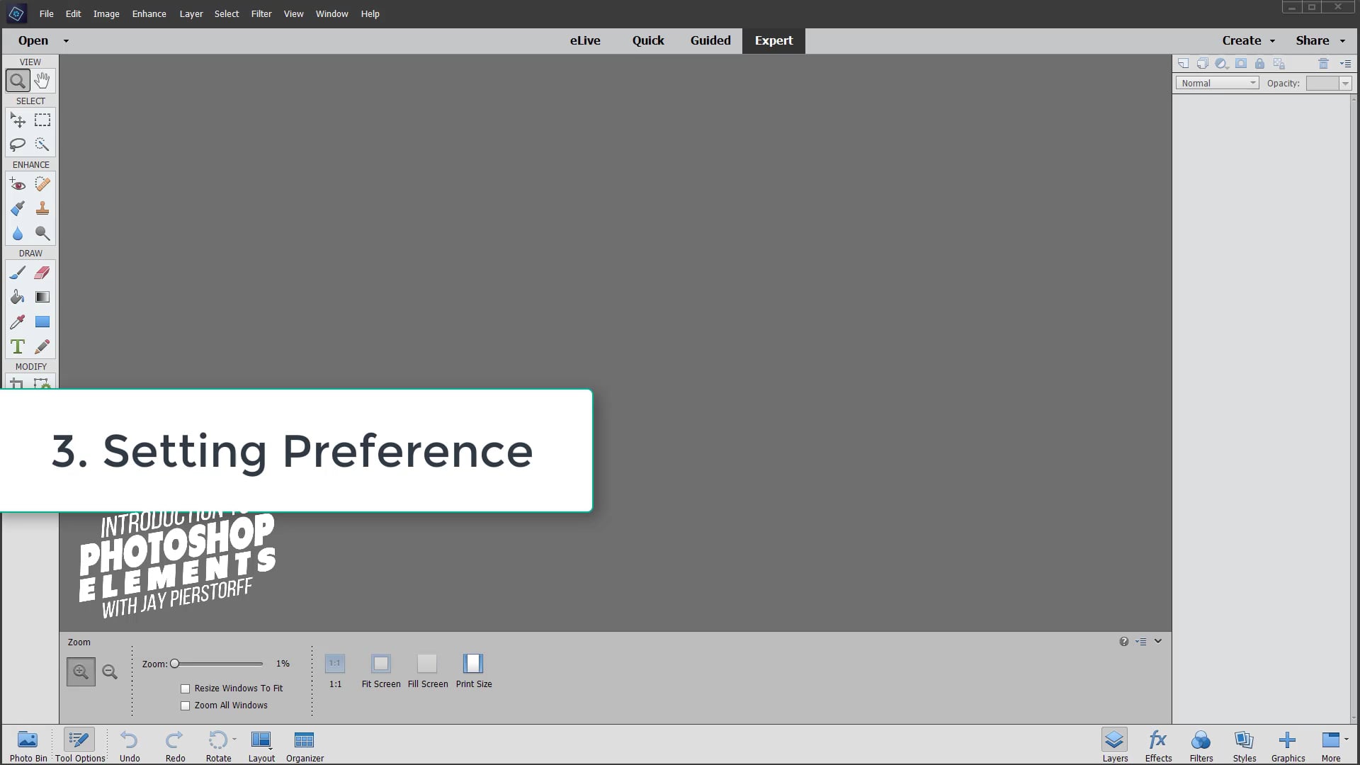 PSE-3 - Settings and Preferences PSE