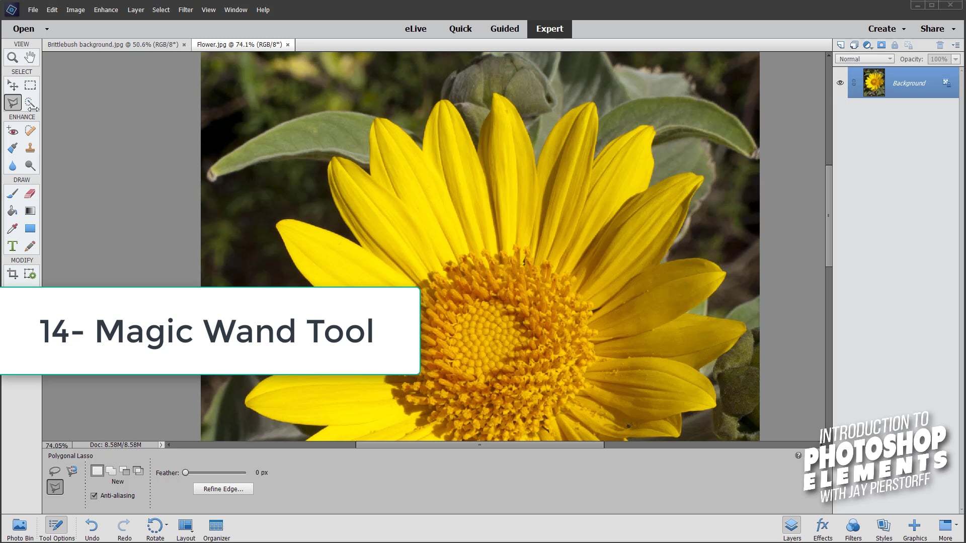 PSE-14 - Magic Wand Tool PSE